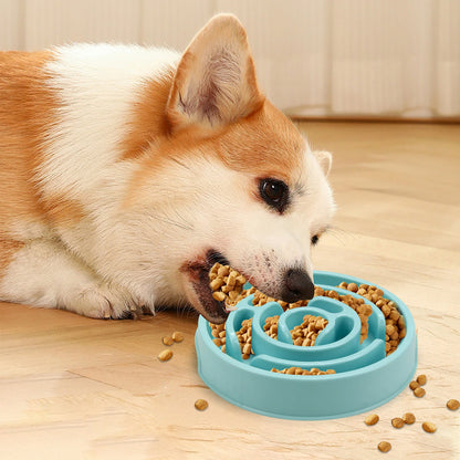 🐶 Bol Anti-Glouton pour Chiens – Ralentissez les Repas pour une Meilleure Digestion ! 🦴