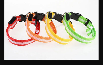 Collier Lumineux LED pour Chien – Sécurité Nocturne, Réglable & Résistant, Multi-Modes & Haute Visibilité