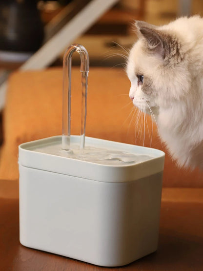Fontaine à Eau avec Filtre Intégré – Hydratation Saine et Continue