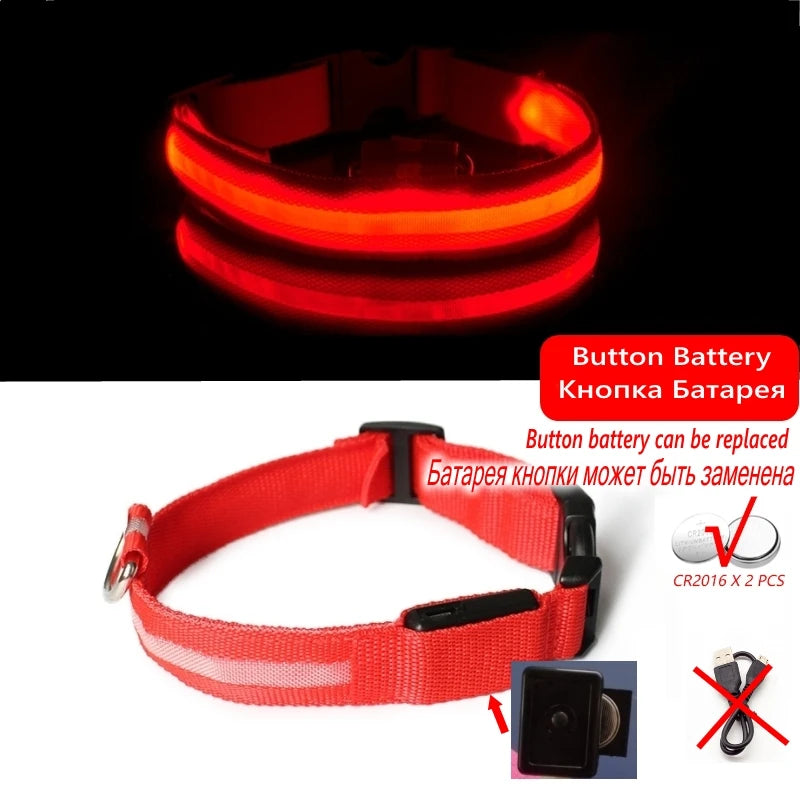 Collier Lumineux LED pour Chiens et Chats – Sécurité Nocturne & Recharge USB 🔦🐶🐱