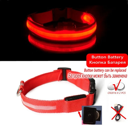 Collier Lumineux LED pour Chiens et Chats – Sécurité Nocturne & Recharge USB 🔦🐶🐱